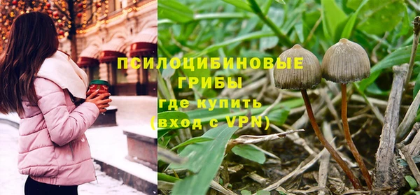 каннабис Гусиноозёрск