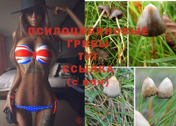 каннабис Гусиноозёрск