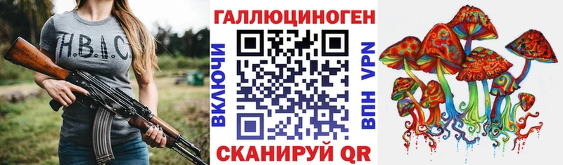 Псилоцибиновые грибы Psilocybe  как найти наркотики  Новохопёрск 